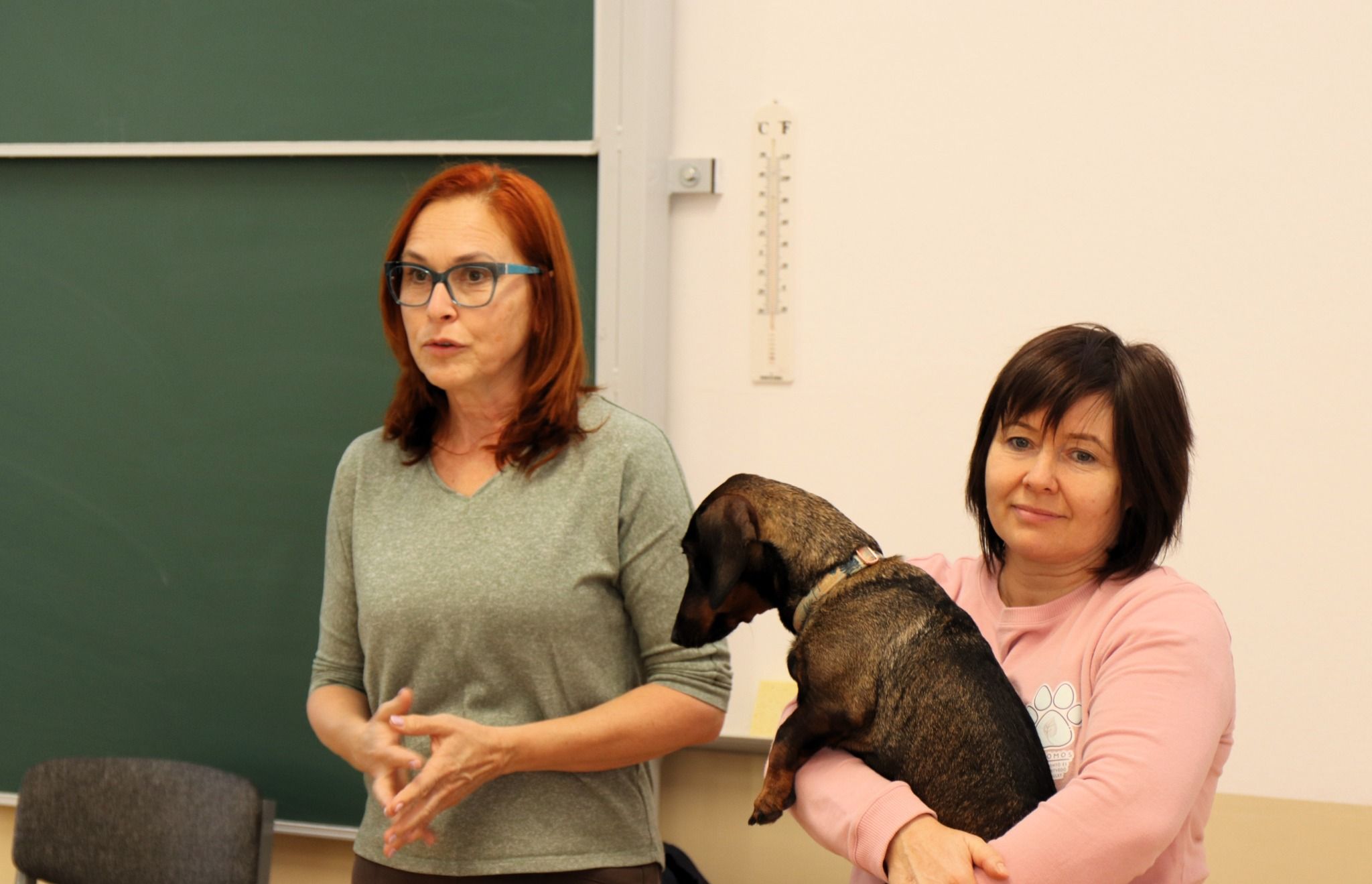 állatvédelmi_témahét