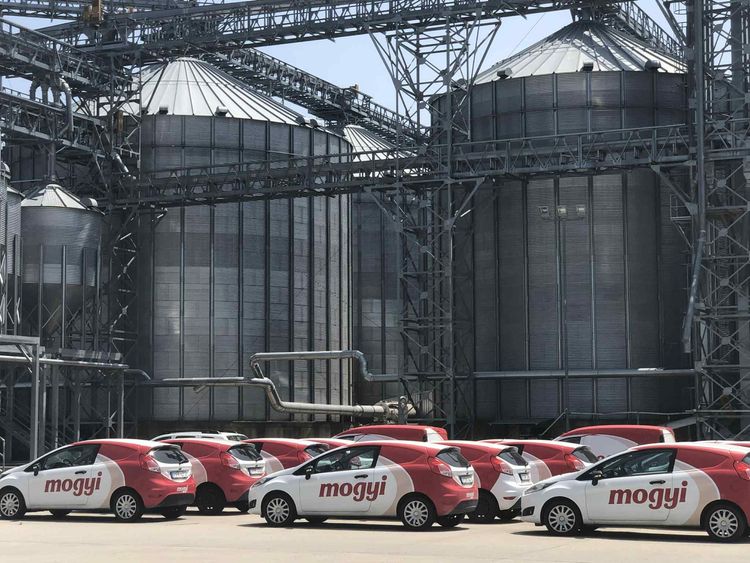 LÁTOGATÁS A MOGYI-NÁL
